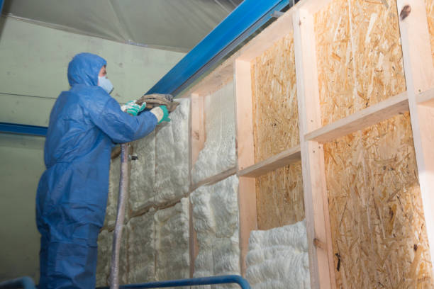 Insulation Repair Services in Cabana Colony, FL